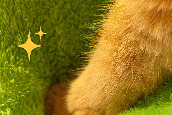 ユニーク ふかふか モンスター ハウス 3001