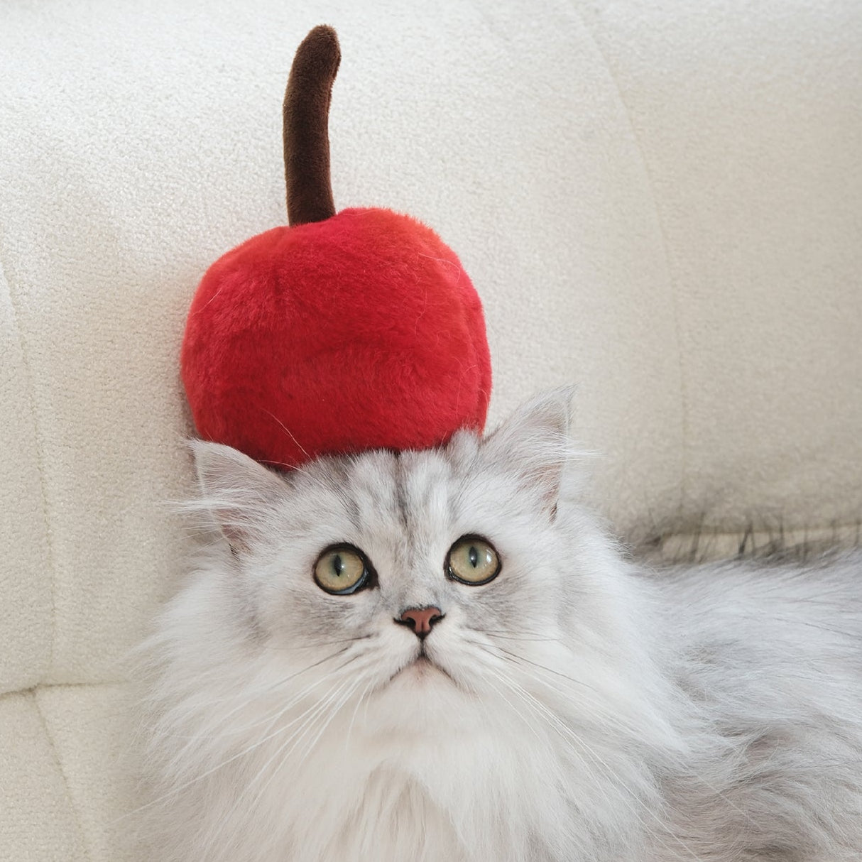 キュート ケーキ ハーフドーム ベッド 3002