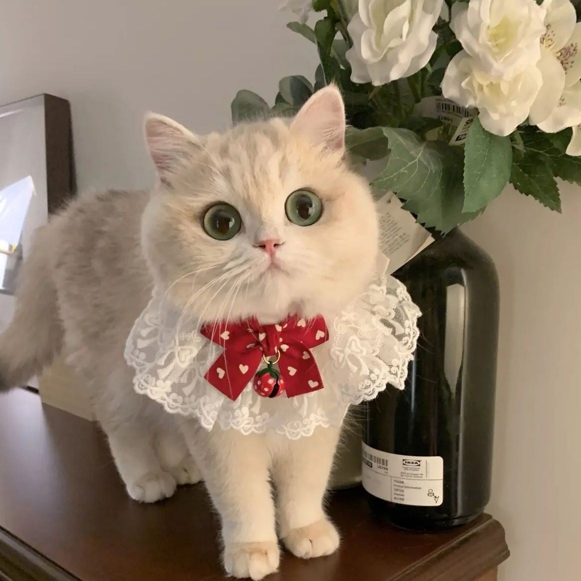 レース フリル 蝶ネクタイ ペット よだれかけ1002