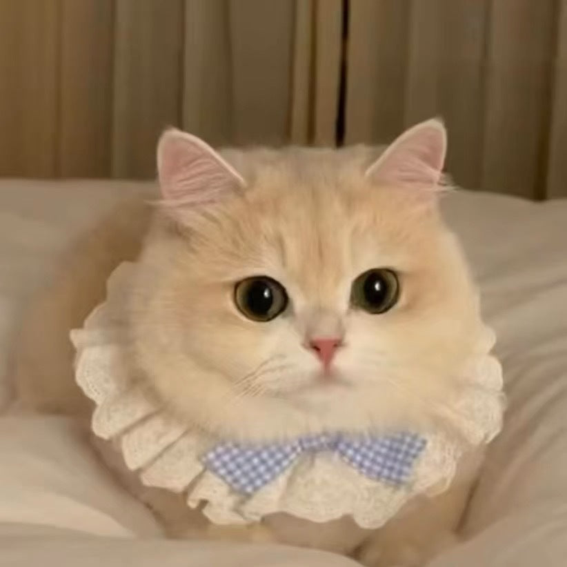 レース フリル 蝶ネクタイ ペット よだれかけ1002